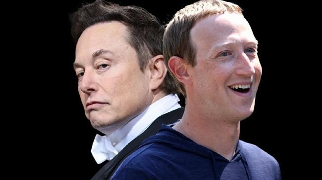 mark zuckerberg and elon musk