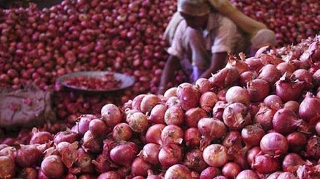 onion bazar