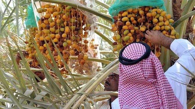 dates tree