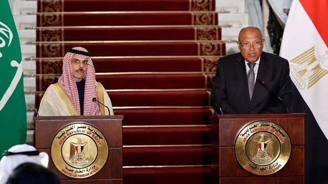 saudi egyptian foreign ministers call for ceasefire in gaza