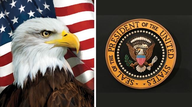 the bald eagle and americas national seal