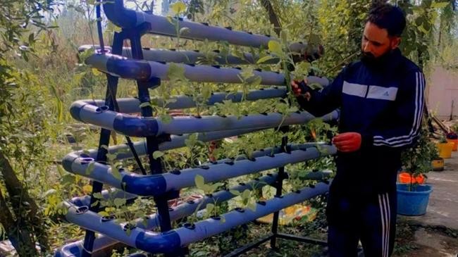 the new technique of farming in which vegetables can be grown without soil