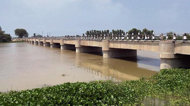 the sutlej in spate near fazilka